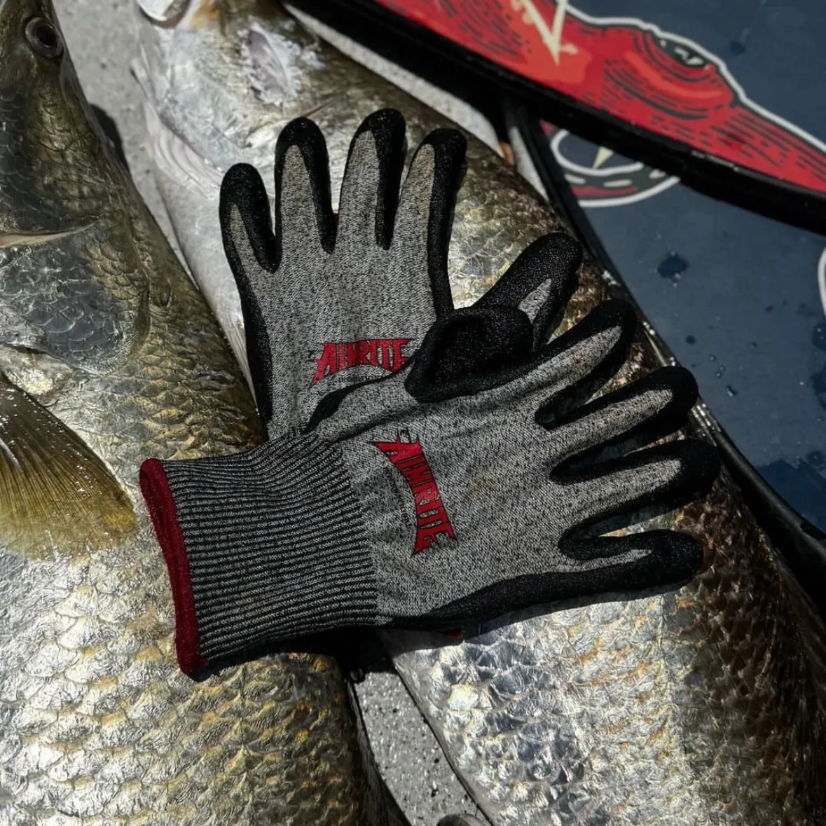 Dyneema Gloves - NEW