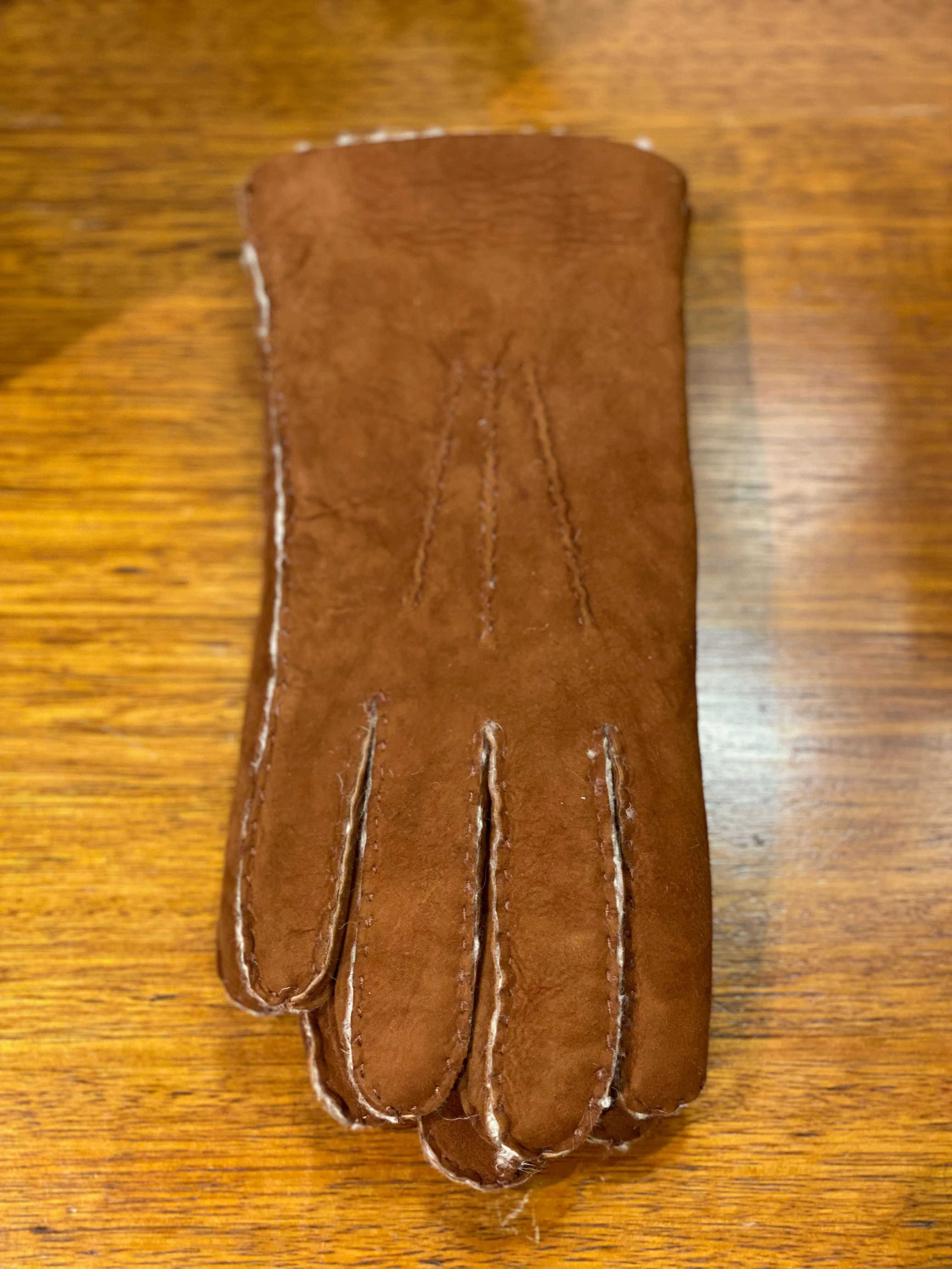 Parisi Trentino Mens Gloves